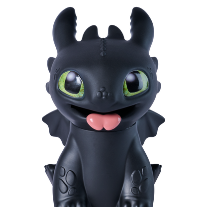 How to Train Your Dragon Fish Feeding Toothless Interactive Toy