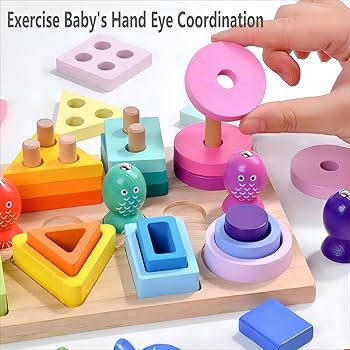 Montessori Wooden Shape Sorter & Fishing Game | Juguete Educativo de Madera