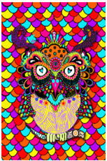 KAI OWL 5" X 8" SPIRAL NOTEBOOK