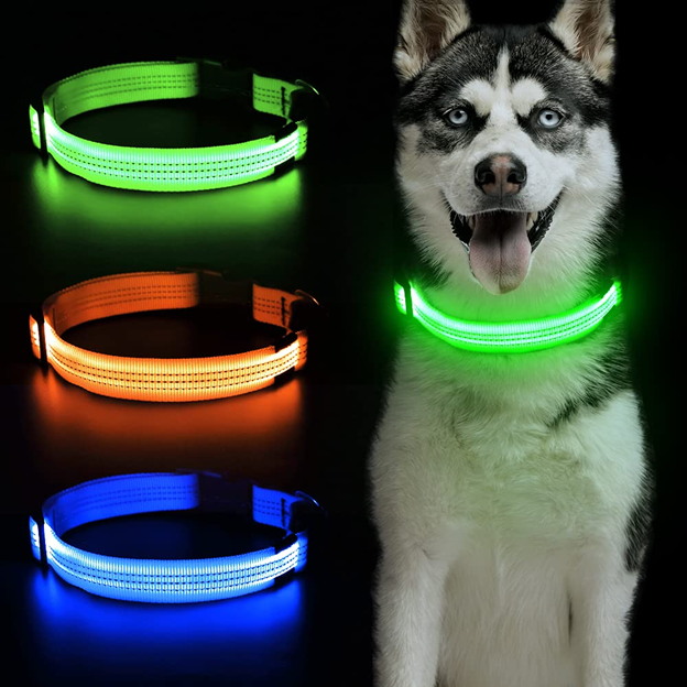 Kai Pup Light Up Collar